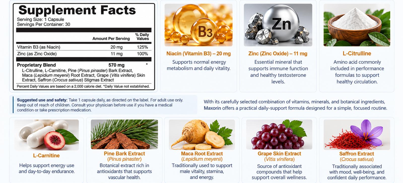 Maxorin ingredients and benefits infographic
